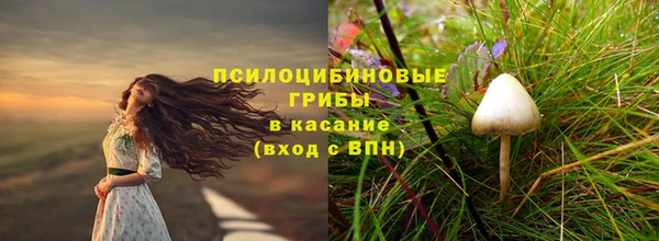 Альфа ПВП Абаза