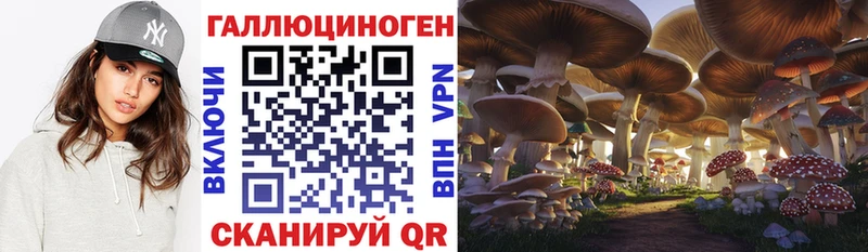 Галлюциногенные грибы Magic Shrooms  Ковров 
